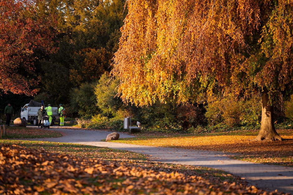 The image depicts a park pathway lined with large trees displaying vibrant autumn foliage in shades of orange, yellow, and red. To the left of the pathway, a group of workers, dressed in high-visibility vests and protective clothing, are engaged in garden rubbish removal; they are near a small white utility van and a collection of bundled branches and leaves. The workers appear to be loading or unloading debris in a natural outdoor setting with dense trees and bushes in the background. The scene is illuminated by warm sunlight, casting soft shadows across the paved walkway, which is partially covered with fallen leaves. A metal bench and a waste bin are positioned along the path, emphasizing the maintained park environment. This scene illustrates an example of private garden clearance, possibly arranged through a rubbish removal service like Rubbish Clearance Barnet, highlighting the process of on-site clearance of garden waste in a natural setting within an urban park context.