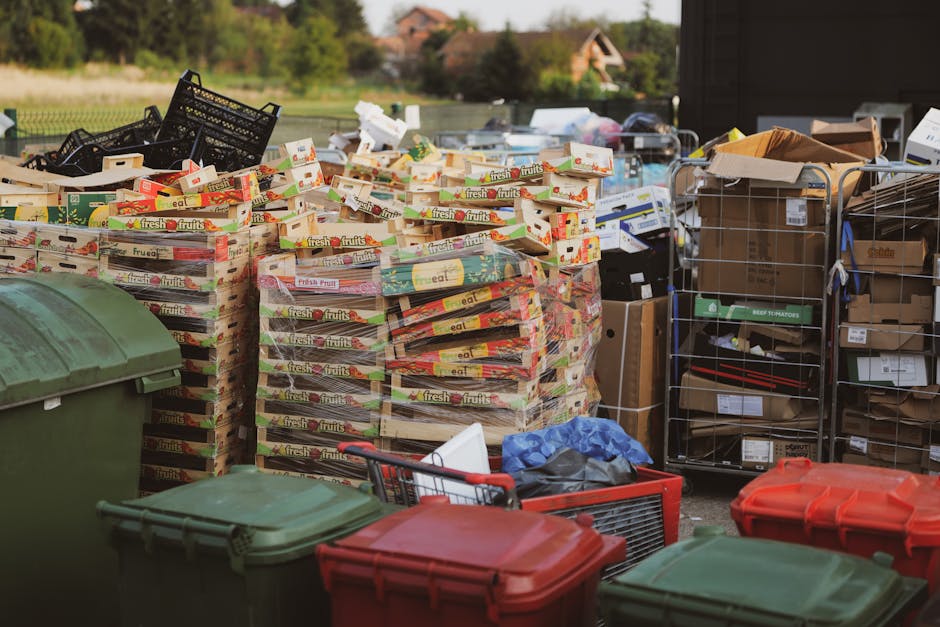 An outdoor scene showing rows of stacked cardboard boxes containing fresh fruit, with packaging featuring colorful labels and images of fruits, arranged on the ground beside several plastic waste bins in green and red, as well as metal wire cages filled with brown cardboard boxes and miscellaneous packaging materials. The background includes a park or grassy area with trees and a few distant houses, under natural daylight. The scene appears to depict a collection or disposal area for waste, potentially managed by a private waste removal service such as Rubbish Clearance Barnet, emphasizing the handling of bulk packaging waste in an organized outdoor environment.